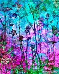 A Rich Tapestry (Cool), 2014, (digital mixed media phoneography)